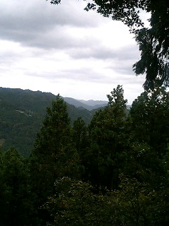 061007焼山山道より.jpg