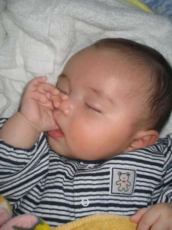 05.09.12 366 (2).jpg