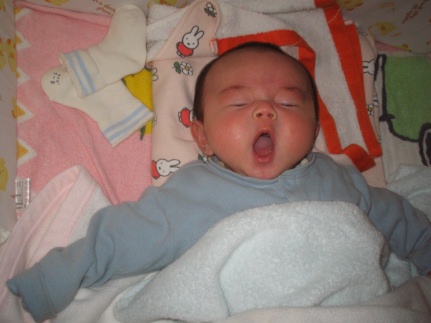 05.09.12 307 (2).jpg