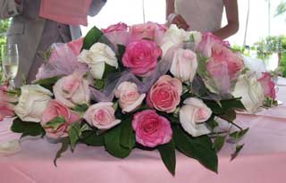 20100216mainflower.jpg
