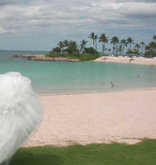 20100213beach.jpg
