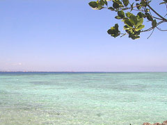20070604island2.jpg
