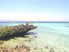 20070604island3.jpg