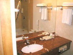 20070618hotelbath.jpg