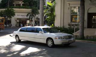 20100209moana2.jpg