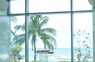 20100212window.jpg