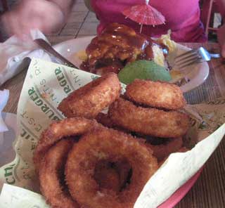 20100220onion.jpg