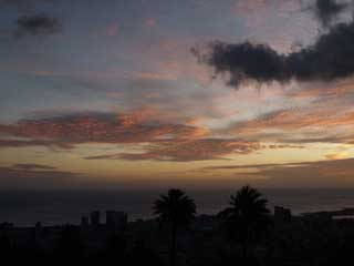 20100203yakei1.jpg