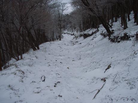 ここは何処だ？