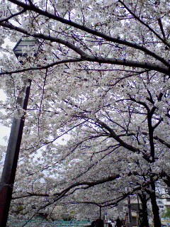 070401_1522~02.jpg