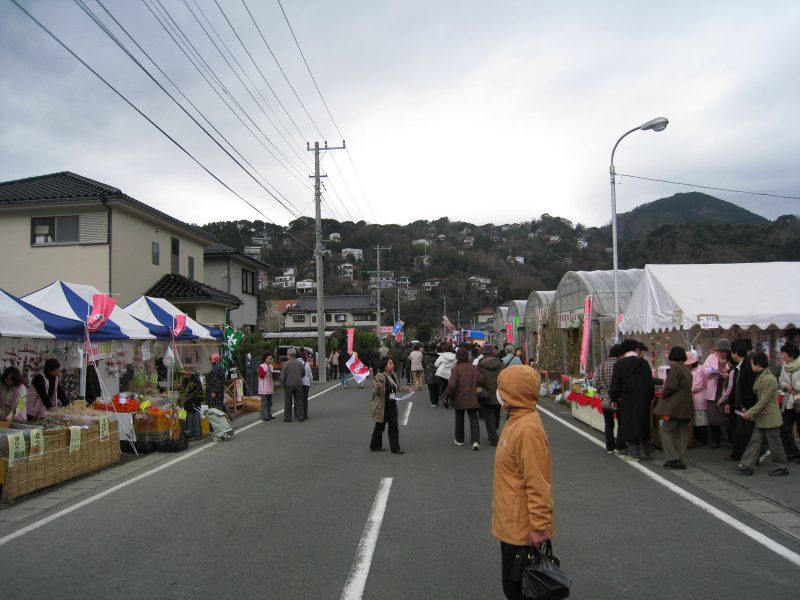 河津桜ツー2009－9