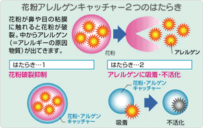 モラタメ