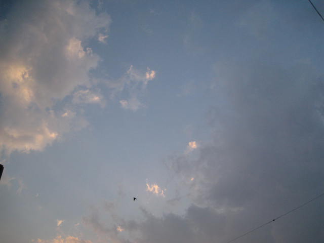 IMG_2388.JPG