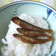 若鮎の佃煮