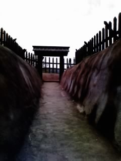 uto3
