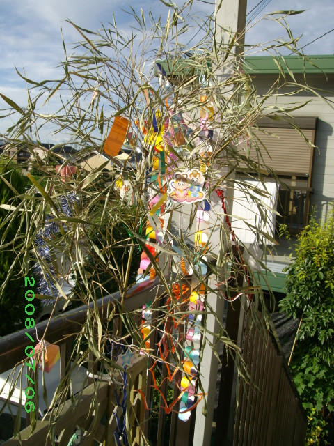 tanabata