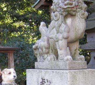 狛犬とみみ