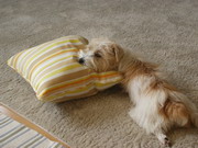 はぁ、くたびれた