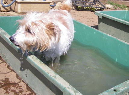 気持ちいいんですよ