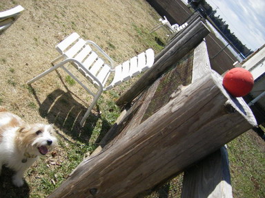 こんなところに！！