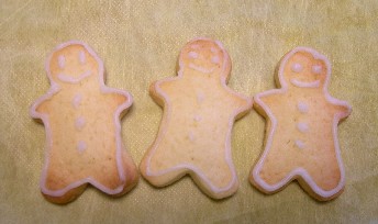 頂き物のクッキー