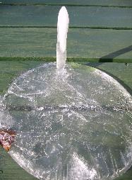 バケツに張った氷１.jpg