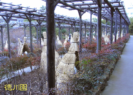 徳川園