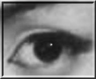 だれの目でしょう。