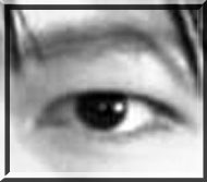 だれの目でしょう。