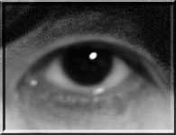 だれの目でしょう。