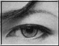 だれの目でしょう。