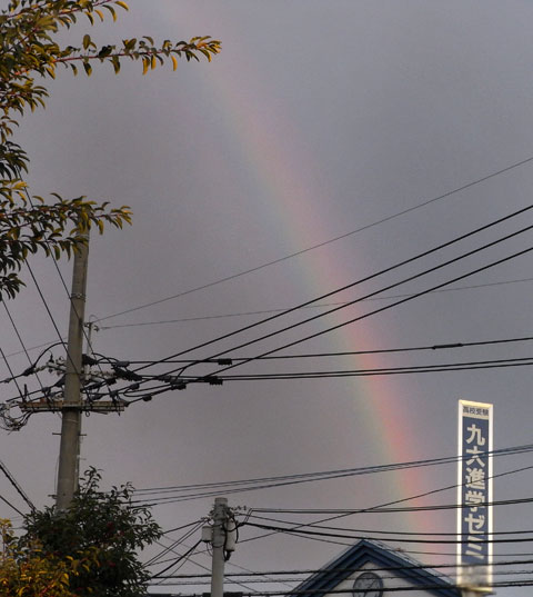 朝の虹