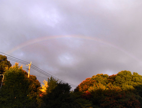 朝の虹