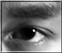 だれの目でしょう。