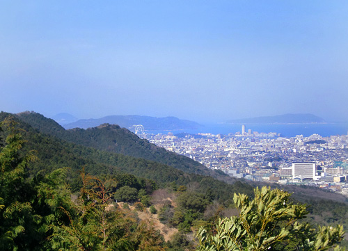 展望台からの景色