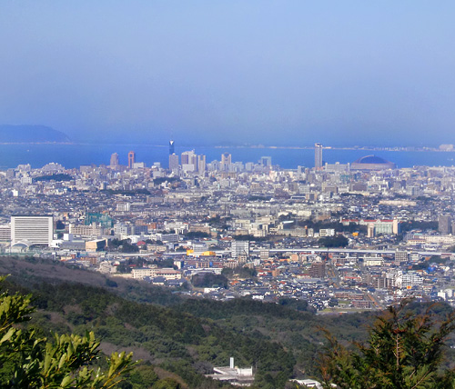 展望台からの景色