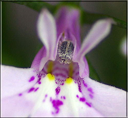 なんだっけ・・・・・・・