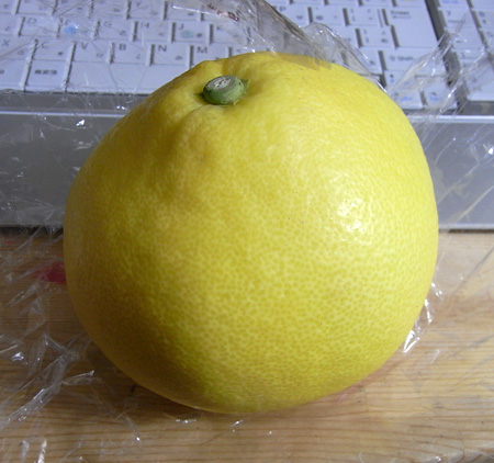 パール柑
