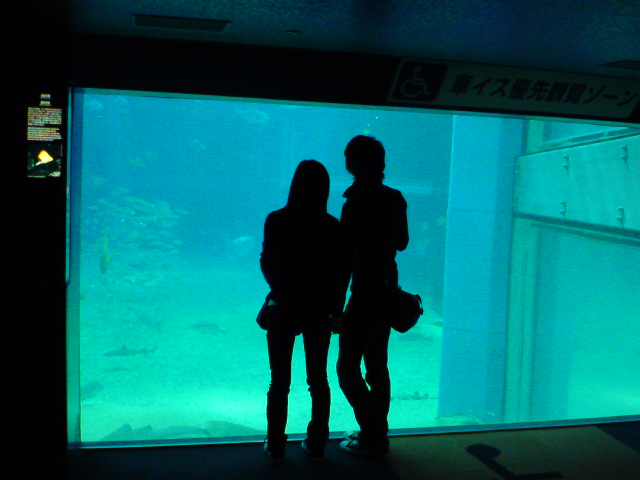 見知らぬカップルのシルエット…