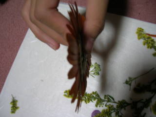 DSCN4390.JPG