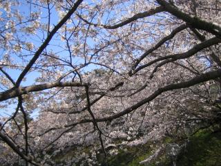 浜松城公園の