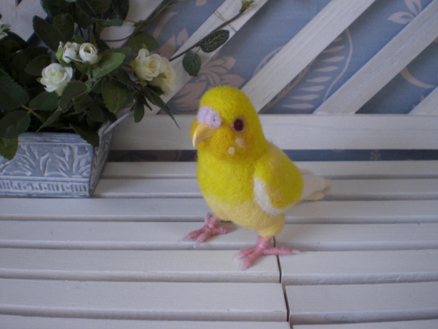 セキセイインコ・ルチノー