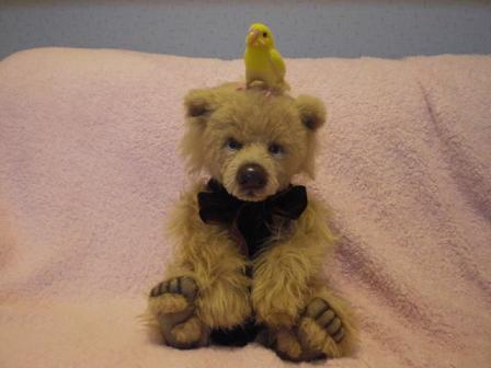 aikoベアと羊毛インコ