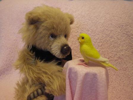 aikoベアと羊毛インコ