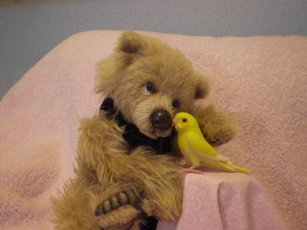 aikoベアと羊毛インコ