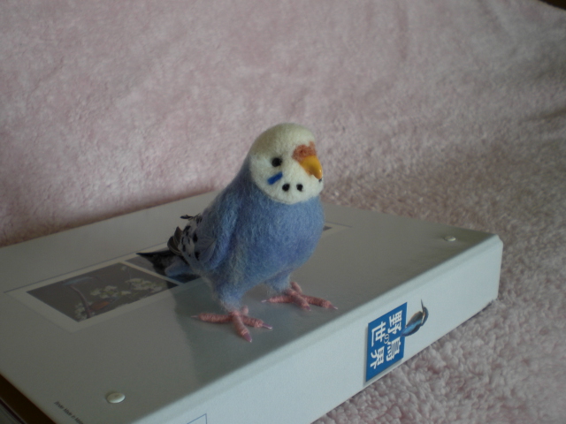 週刊野鳥の世界