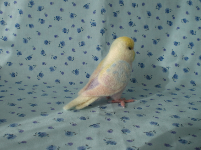 セキセイインコ・レインボー