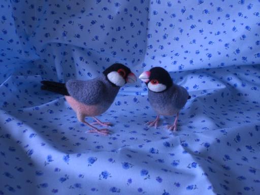 どこ見てるのよ！