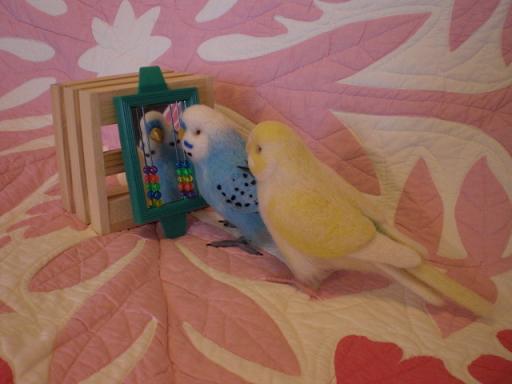 鏡の前でお話します