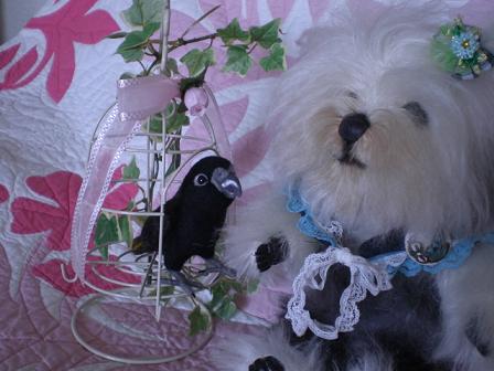 羊毛スミインコ